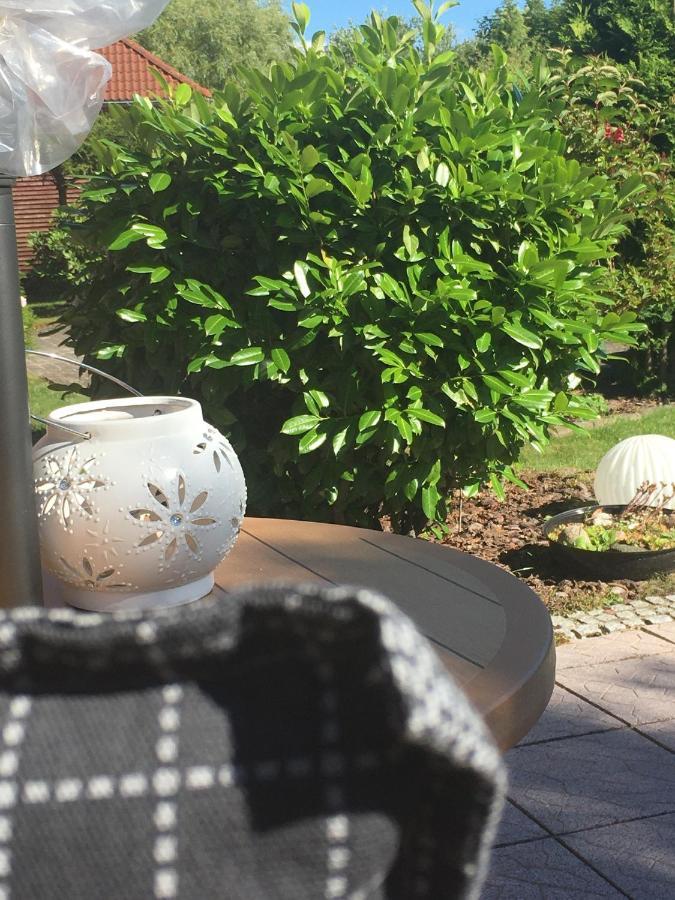 Haus Rose Apartman Ribnitz-Damgarten Kültér fotó