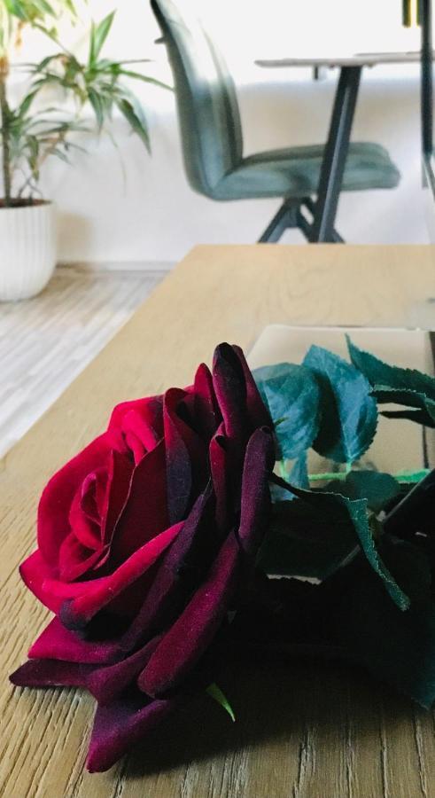 Haus Rose Apartman Ribnitz-Damgarten Kültér fotó