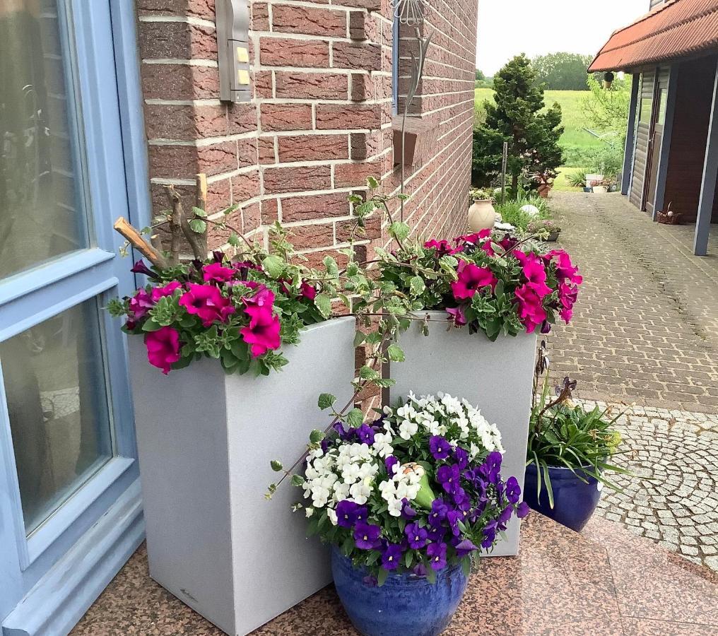Haus Rose Apartman Ribnitz-Damgarten Kültér fotó