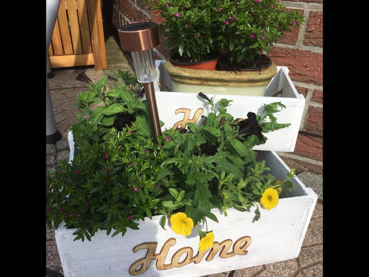 Haus Rose Apartman Ribnitz-Damgarten Kültér fotó